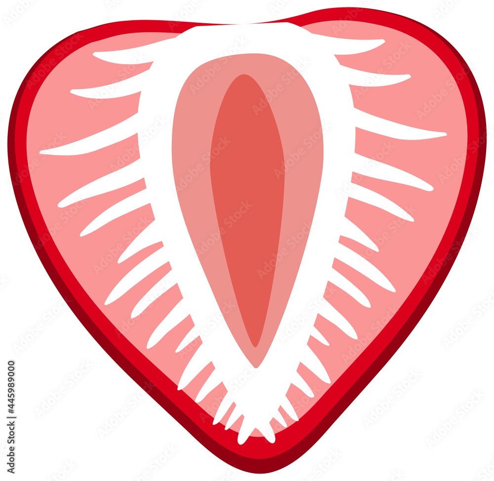 Sliced red strawberry in half on white background Sliced red strawberry in half on white background