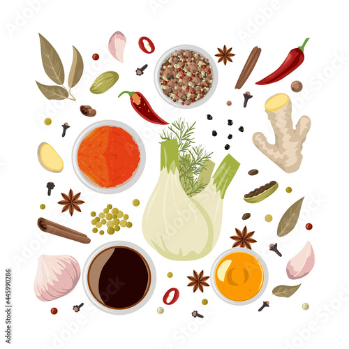 Chinese spices. Traditional oriental cuisine condiments for spicy sauce. Natural fresh, dry and powder pungent taste ingredients. Organic peppercorns or bay leaf. Vector seasoning set