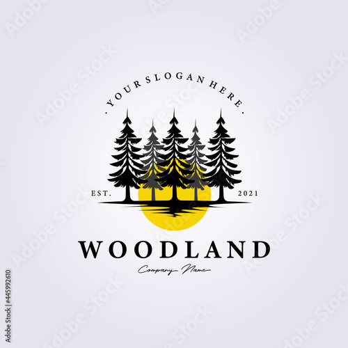 pine, evergreen, Rustic woodland logo Vintage retro fir, hemlock, spruce, conifer, cedar, coniferous, cypress, larch, pinus trees logo vector illustration icon symbol background label template design