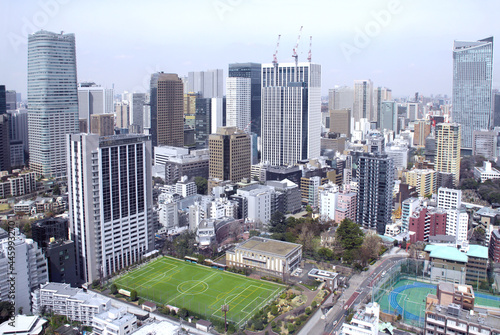 Aerial view on Tokyo, Japan © frenta