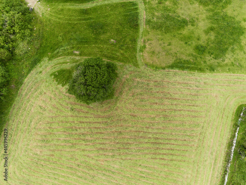 Irish green country side, aerial view