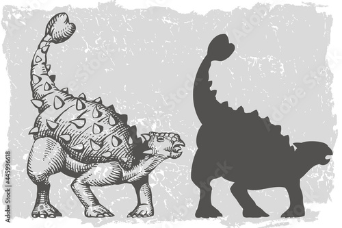 Dinosaur Ankylosaurus grafic hand drawn and silhouette illustration
