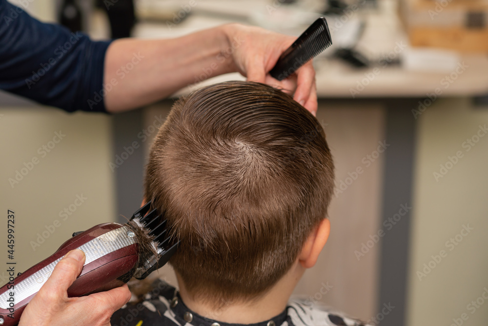 Cute boy have haircut, professional barber doing haircut. Hairdress for children.side view portrait barbershop.Back view Cute boy have haircut, professional barber doing haircut. Hairdress for children.side view portrait barbershop.Back view