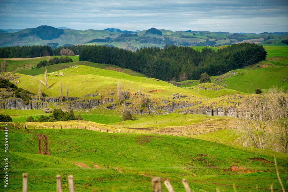 Countryside hills of New Zealand