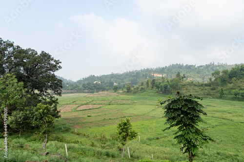 Landscape of mountain captured in the morning with green trees in the foreground. photo