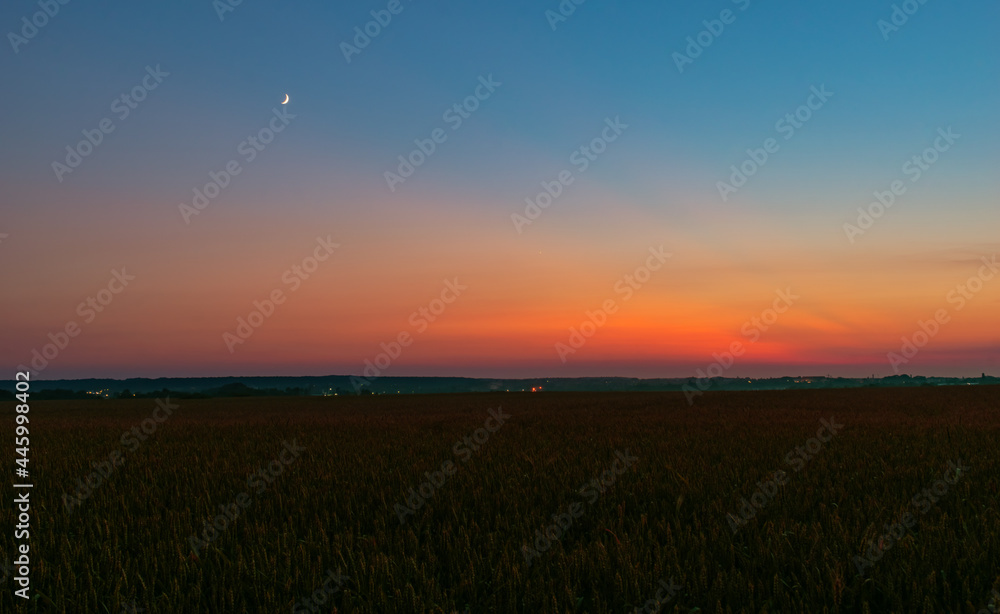 evening sky and moon over wheat field 