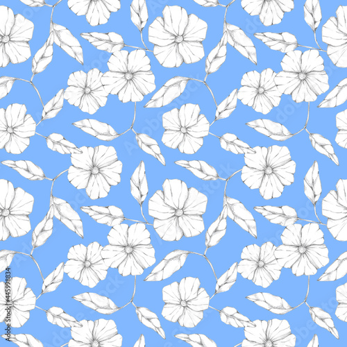 Graphic flowers and leaves seamless pattern on light blue background. Hand drawn monochrome black and white botanical print. Floral design element, decoration, background.