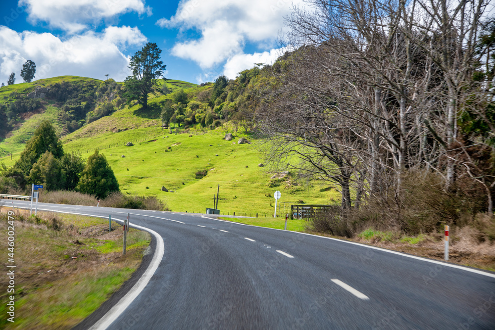 Road across New Zealand countryside