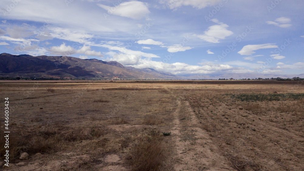 Fototapeta premium Road in the field