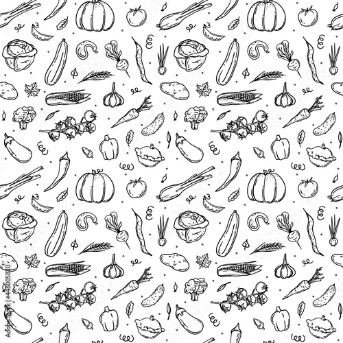 Seamless pattern with sketch vegetables in retro style. Tomato, garlic, eggplant, cucumber, corn, peas, beet, carrot, broccoli, bell pepper and chili. Vector illustration