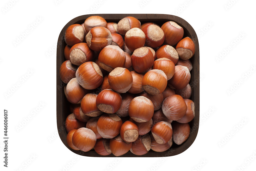 shelled forest nuts in square bowl isolated on white background. organic food, top view. shelled forest nuts in square bowl isolated on white background. organic food, top view.