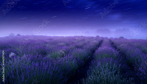 Lavender flowering field and starry sky with milky way, beautiful summer night landscape.