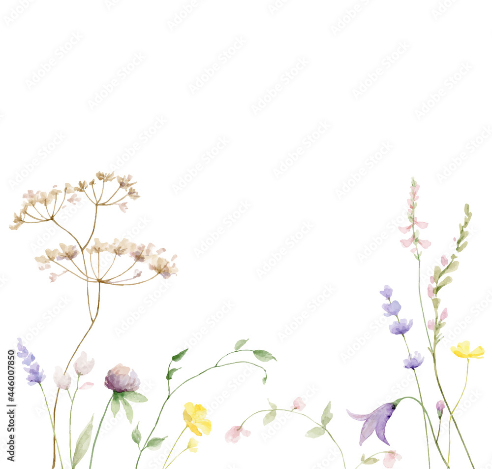 Watercolor vector card with wildflower flowers and leaves. - obrazy, fototapety, plakaty 