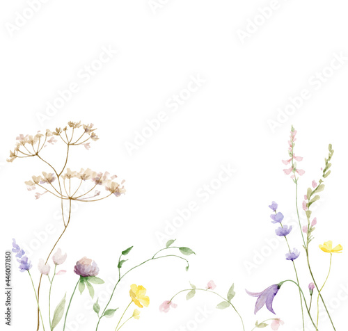 Watercolor vector card with wildflower flowers and leaves. © ElenaMedvedeva