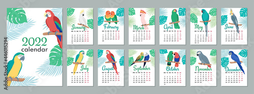 2022 calendar template. Calendar concept design with parrot. Week starts on Monday. Set of 12 months 2022 pages. Vector illustration.