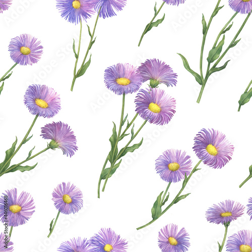 Seamless pattern with daisy branch with flowers. Erigeron speciosus (garden, aspen, showy, prairie, streamside fleabane). Watercolor hand drawn painting illustration isolated on white background.