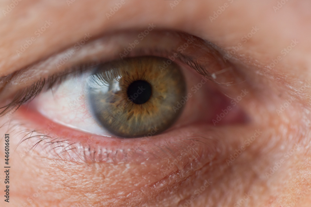 Beautiful super macro photo of green eye male human, eye, vision, close up. Human Open Eye Macro. Man looking away. Amazing male emerald green coloured right eye. Beauty and healthcare concepts Beautiful super macro photo of green eye male human, eye, vision, close up. Human Open Eye Macro. Man looking away. Amazing male emerald green coloured right eye. Beauty and healthcare concepts