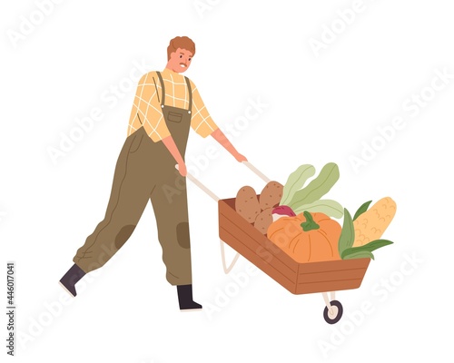 Farmer pushing wood wheelbarrow with autumn harvest. Farm worker going with garden cart with organic local vegetables. Man and pushcart. Colored flat vector illustration isolated on white background