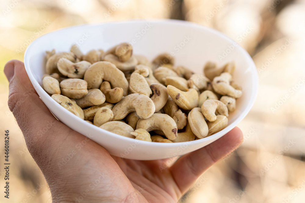 Closeup shot of cashew on pot Closeup shot of cashew on pot