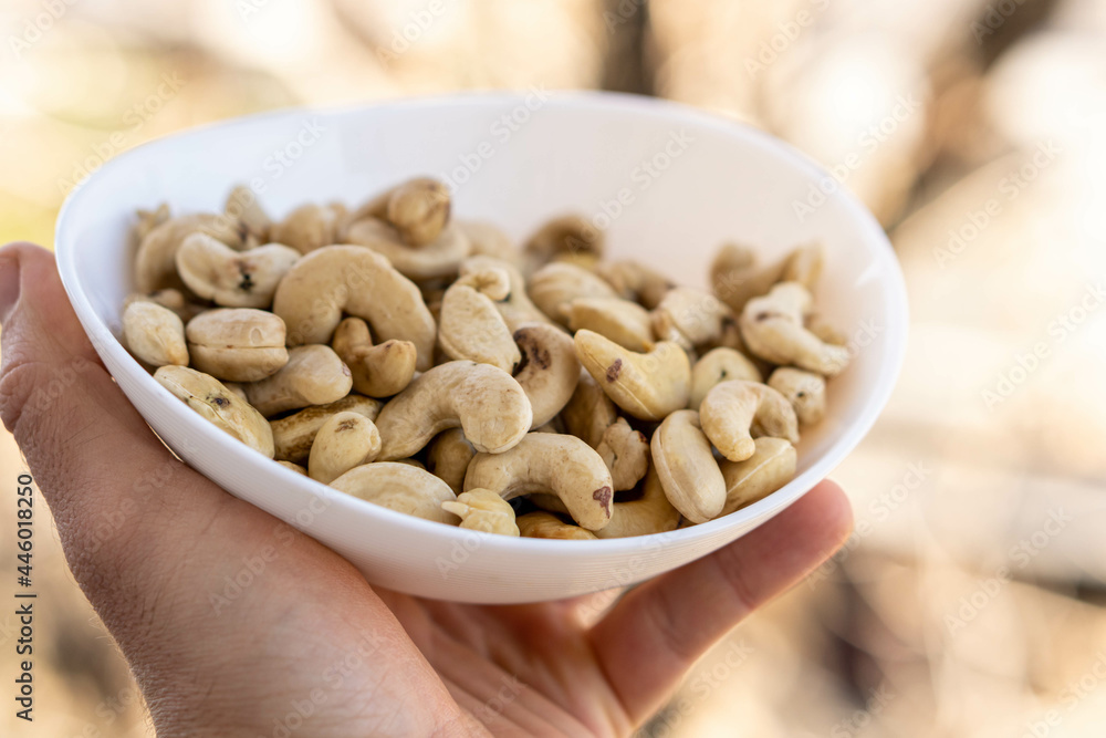 Closeup shot of cashew on pot Closeup shot of cashew on pot