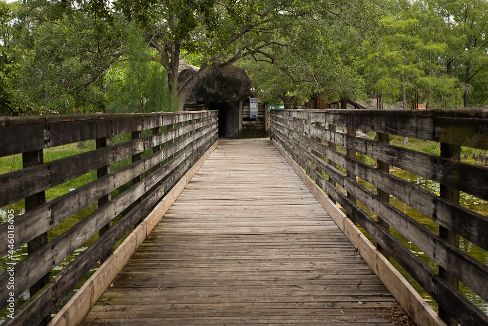 Closeup of a wooden bridge in the park. A wooden bridge surrounded by trees.
