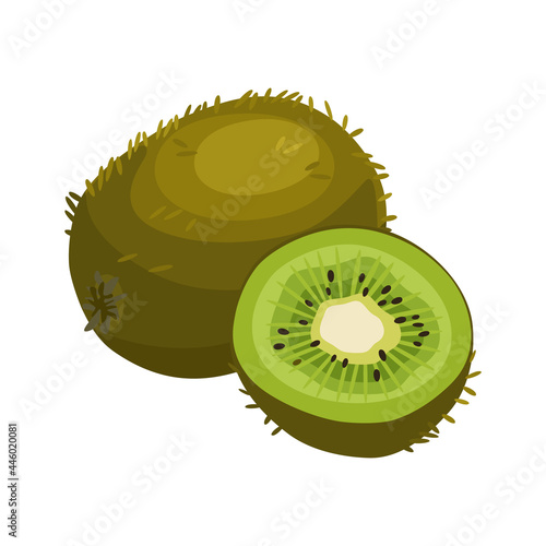 Summer fruits for health. Bright kiwi fruit whole and cut into slice on white background. Cartoon flat vector illustration.
