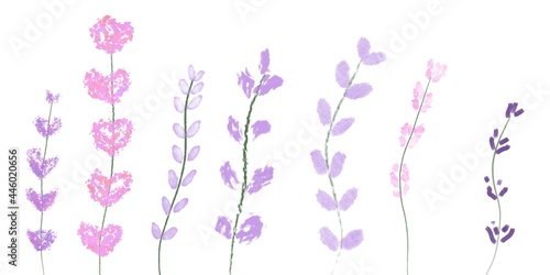 flowers on white background , lavender collection two