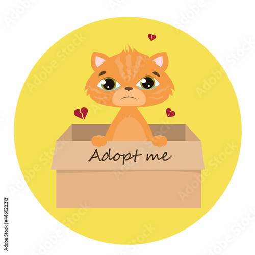 Accept me. Vector ginger cat inside an open cardboard box. Ready for a hug. The mongrel kitten is crying alone. Adopting pets Flat design Helping animals concept Cat on white background