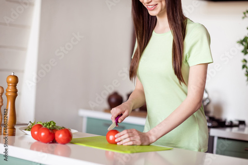 Photo of cute adorable young woman dressed green t-shirt cooking tomatoes indoors house home room