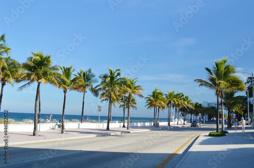 Empty street of A1A North Fort Lauderdale  Florida with palm trees on the sides and next to ocean