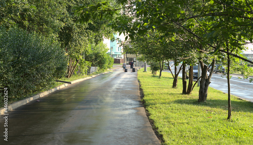 A long road in the park and in the distance tourists with bags on wheels hurrying to the subway.