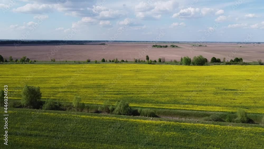 Fly over farm fields. Yellow rapeseed field near a plowed agricultural plot. Landscape, top view.
Fly over farm fields. Yellow rapeseed field near a plowed agricultural plot. Landscape, top view.