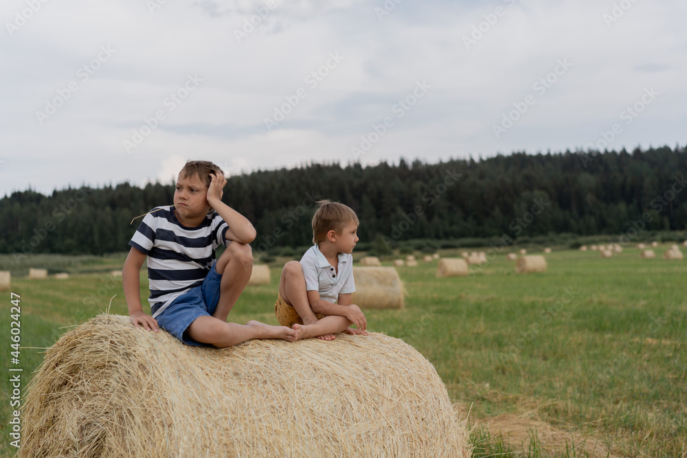 little caucasian adorable boys sitting on haysack in a field on summer time with straw in mouth. Karelia region of Russia