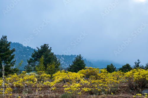 Beautiful landscape with a fenced field in Toroslar, Mersin, Turkey photo