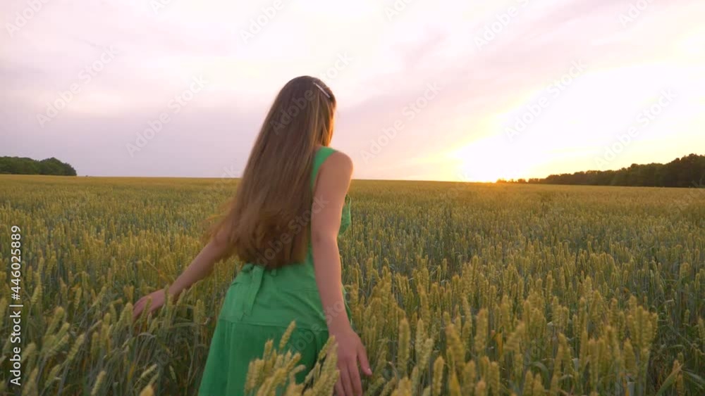 A beautiful girl with long hair in a green dress runs through a wheat field. Happy girl enjoys freedom, fresh air, dreams. A healthy lifestyle. Countryside. A beautiful girl with long hair in a green dress runs through a wheat field. Happy girl enjoys freedom, fresh air, dreams. A healthy lifestyle. Countryside.