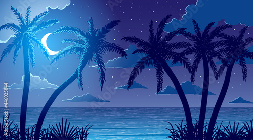 vector calm ocean shore beach and palm trees in grass at night
