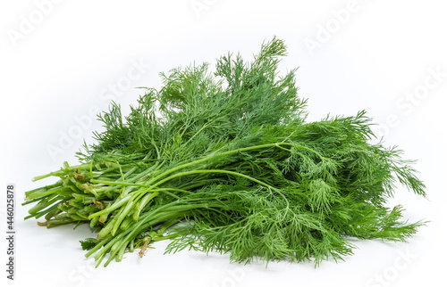 Bunch of dill stems on a white background