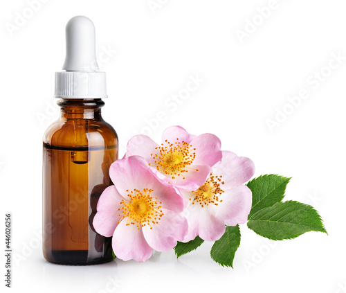 Dropper bottle with essential oil from rose. Flower rose hips isolated on white background. With clipping path.