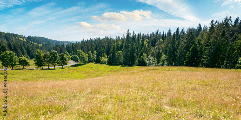 mountainous countryside in summer panorama. trees on the meadow along the road. coniferous forest on the hills. bright sunny forenoon scenery with clouds on the sky mountainous countryside in summer panorama. trees on the meadow along the road. coniferous forest on the hills. bright sunny forenoon scenery with clouds on the sky
