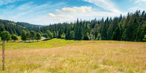 mountainous countryside in summer panorama. trees on the meadow along the road. coniferous forest on the hills. bright sunny forenoon scenery with clouds on the sky