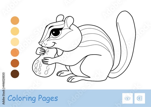 Colorless contour image of a chipmunk gnawing a nut isolated on white. Wild animals preschool kids coloring book illustrations and developmental activity.