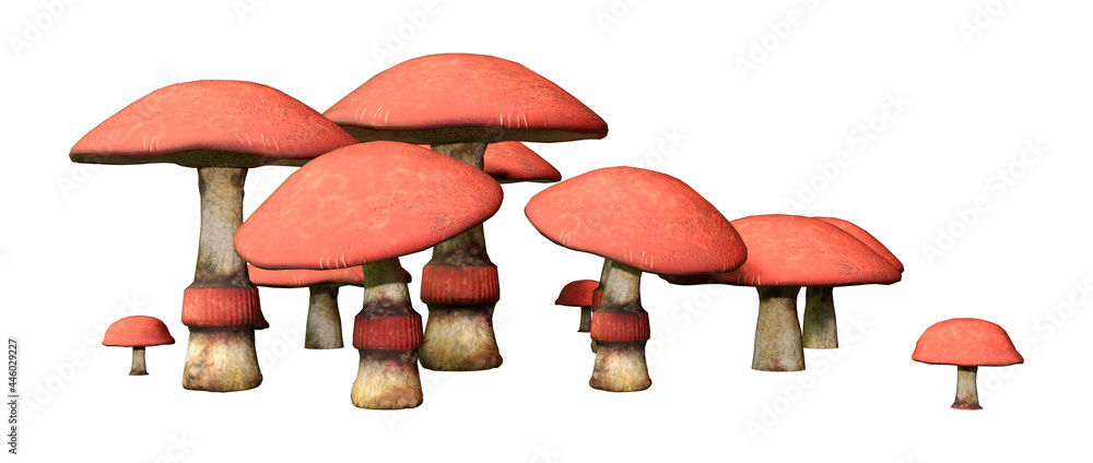 3D Rendering Fantasy Mushrooms on White 3D Rendering Fantasy Mushrooms on White