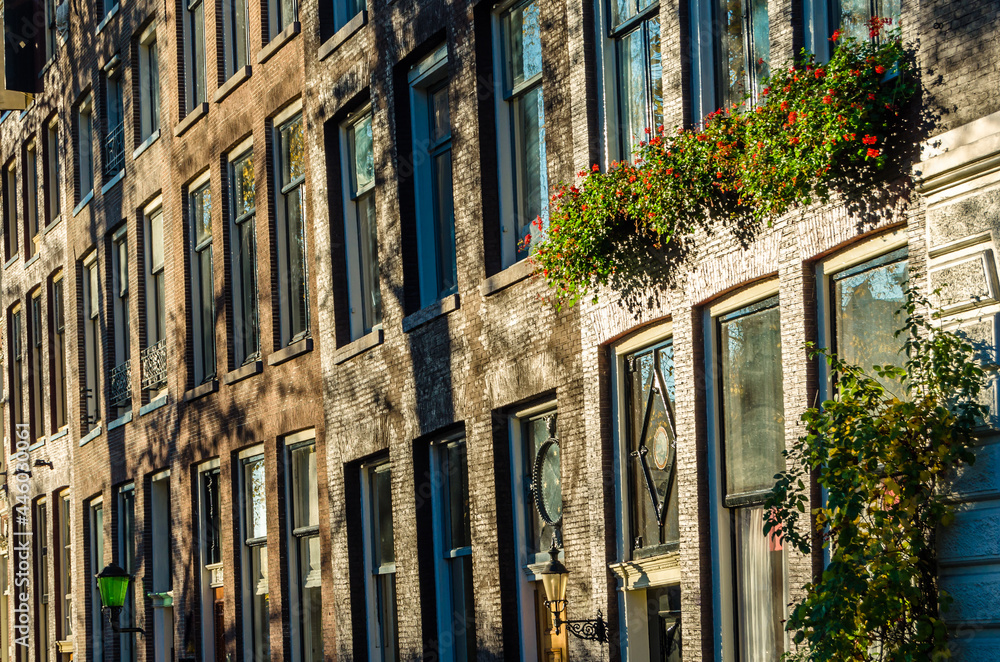 Fototapeta premium Architectural detail in Amsterdam, the Netherlands