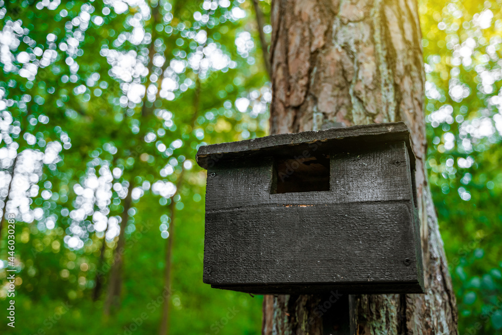 Birdhouse in the forest on the trunk of a tree