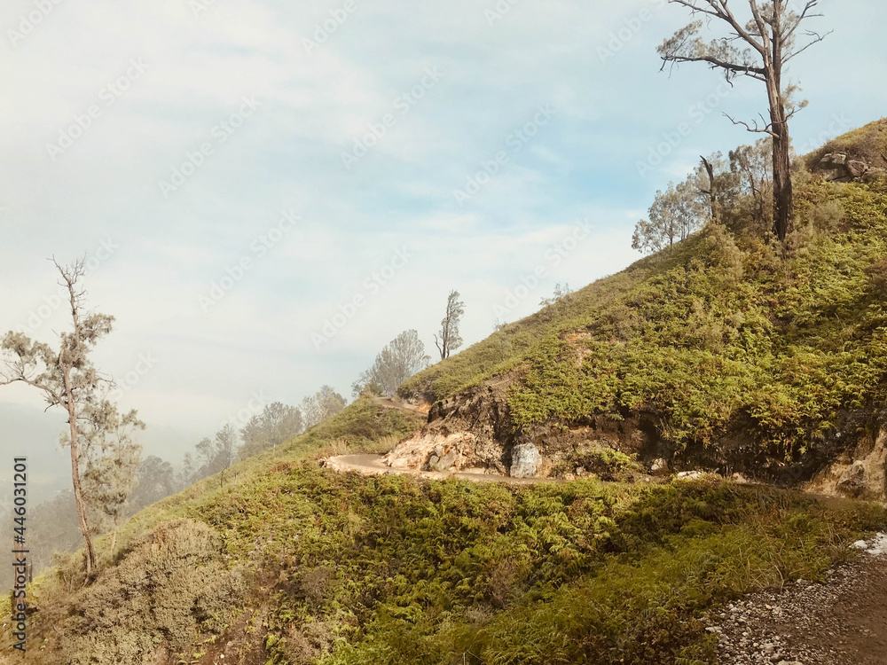 Fototapeta premium Hiking