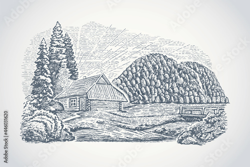 Forest landscape with a hut, vector landscape made in engraving style .