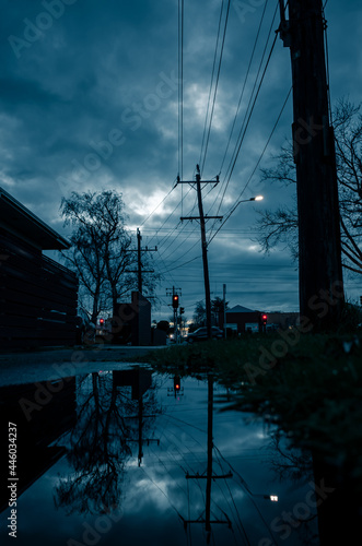 Reflection in a puddle