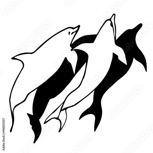 vector black and white illustration of dolphins swimming in ocean or sea water isolated on white background. useful for logos, dolphinarium, aquariums, diving advertisements, swimming pools, posters.