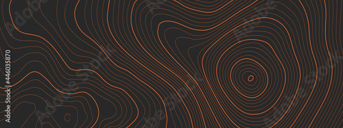 The stylized height of the topographic map contour in lines and contours. The concept map of a conditional geography scheme and the terrain path. Isolated Object. Ultra Wide size. Vector illustration.