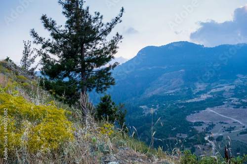 Beautiful landscape with lush green nature in Toroslar, Mersin, Turkey photo